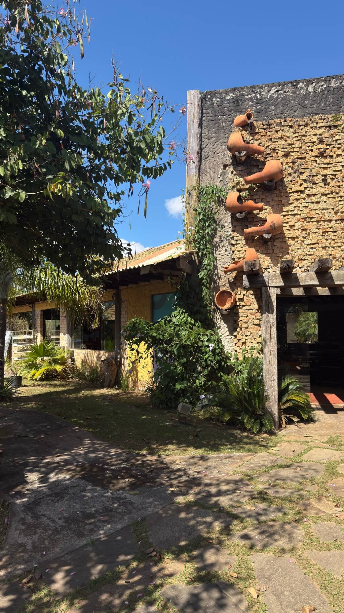 Parede de moringas da loja